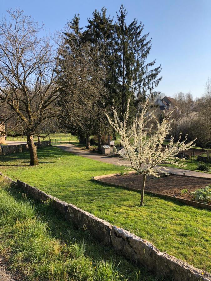 Au Lavoir Du Serein "Les Ecureuils" Saint-Germain-lès-Arlay Exterior foto