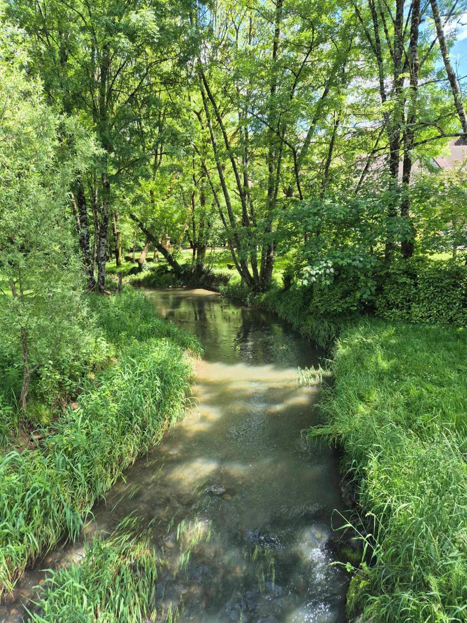 Au Lavoir Du Serein "L'Eventail" Saint-Germain-lès-Arlay Exterior foto